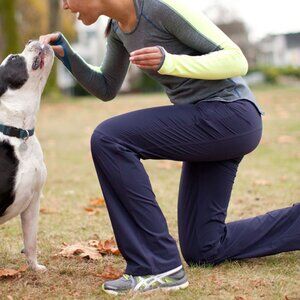Lululemon BLACK Run Dog Runner Double Layer Lined Pant Black Size 6